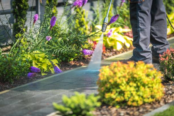 Best Gutter Cleaning  in Lancaster, PA